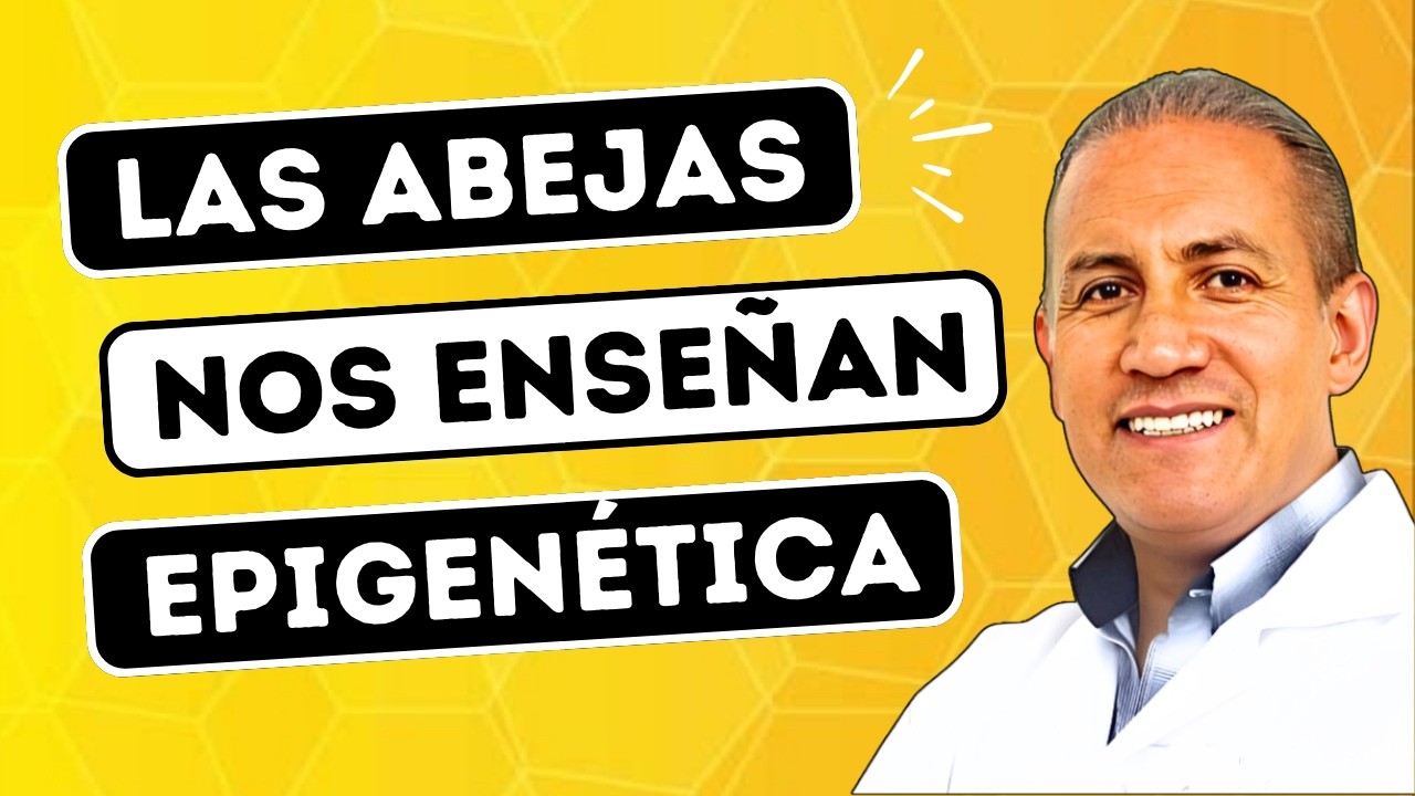 Las Abejas Nos Enseñan Epigenética