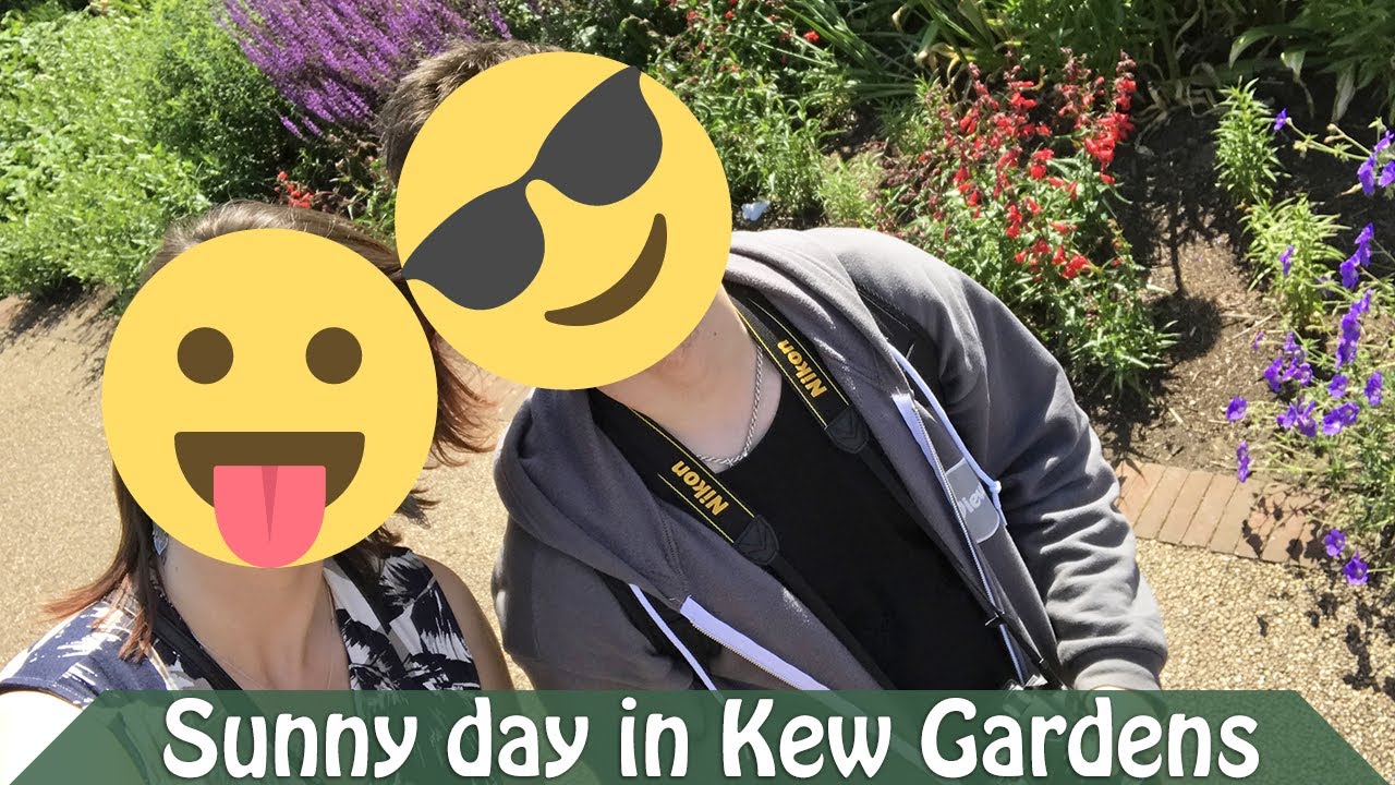 Exploring the Best of Royal Botanic Gardens, Kew
