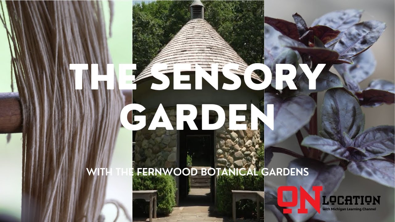 Touch, Smell & Learn: The Sensory Garden at Fernwood | On Location With MLC