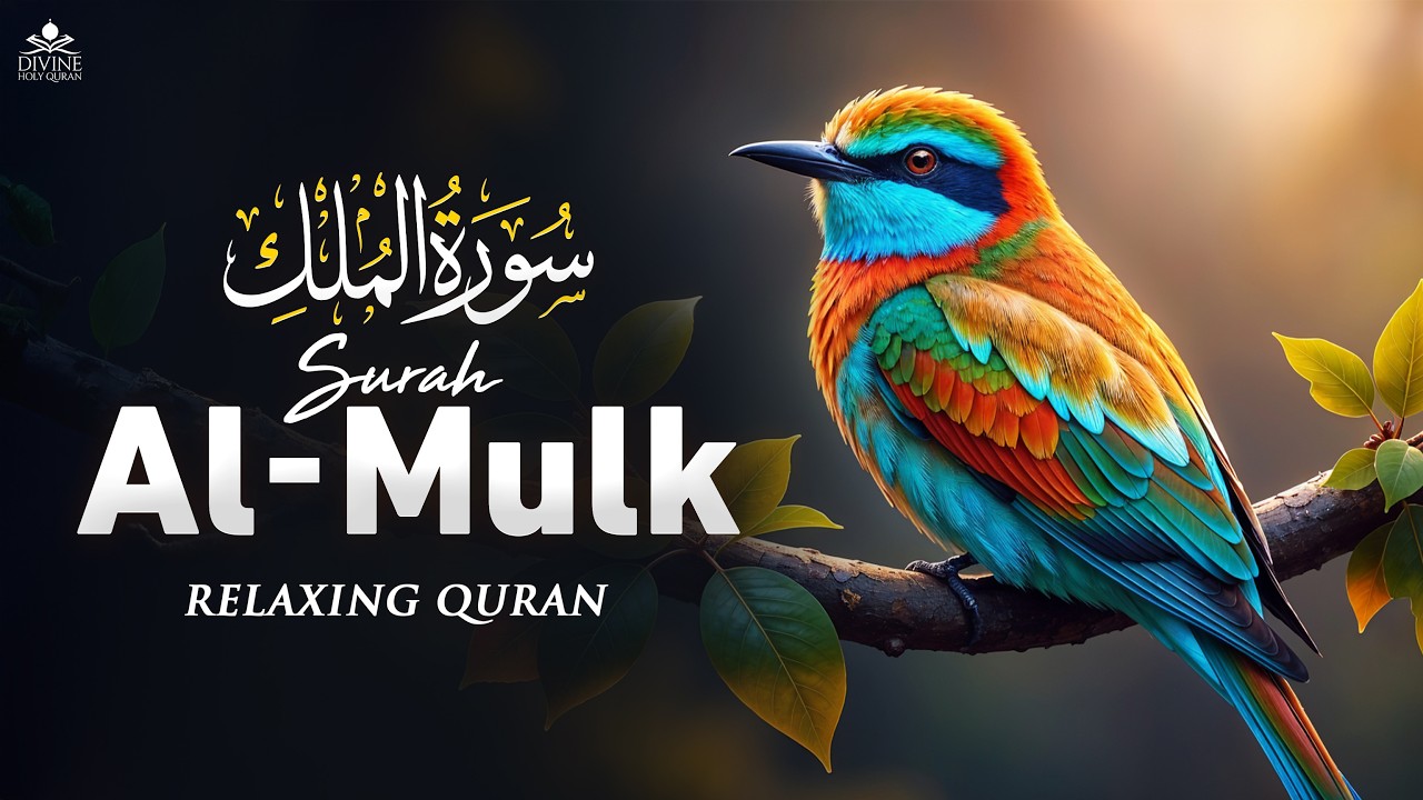 Surah Al Mulk سورة الملك | Emotional Quran Recitation for Night Relaxation & Peace #surahmulk