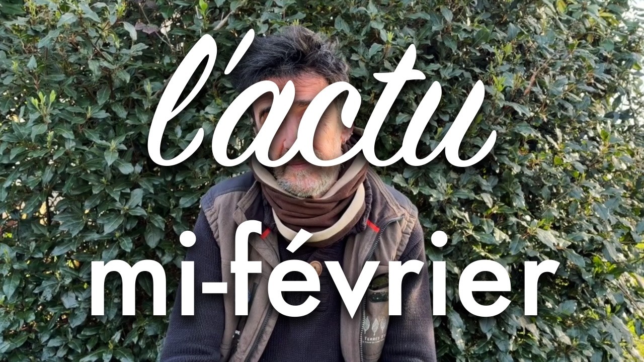 L’actu au potager mi-février en Touraine.