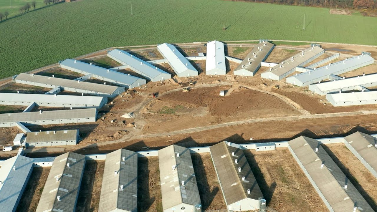 Jedna z największych ferm trzody chlewnej w Polsce