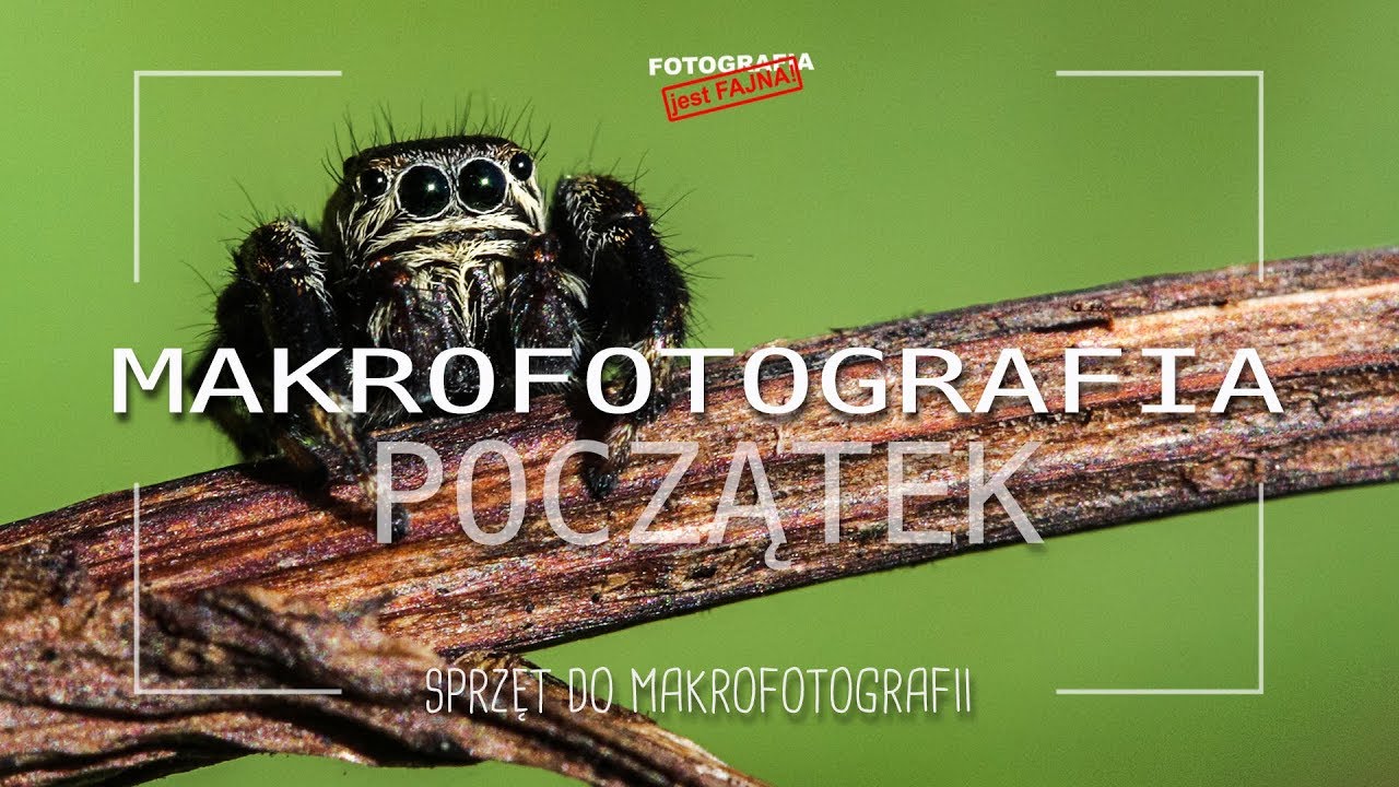 🚩 Makrofotografia Początek - sprzęt do makrofotografii - Fotografia jest Fajna