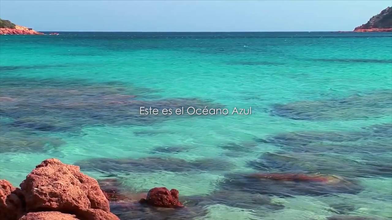 Teoría y estrategia del Océano Rojo vs. Océano Azul