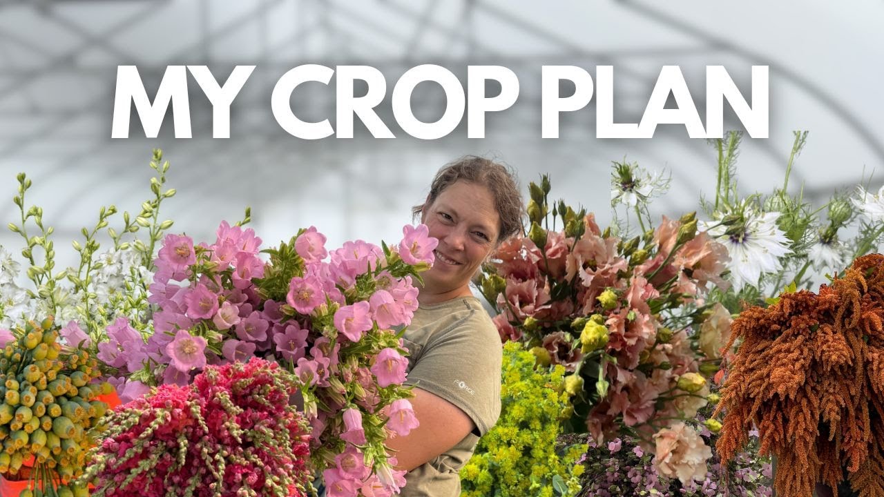 My 2026 Annual Crop Plan