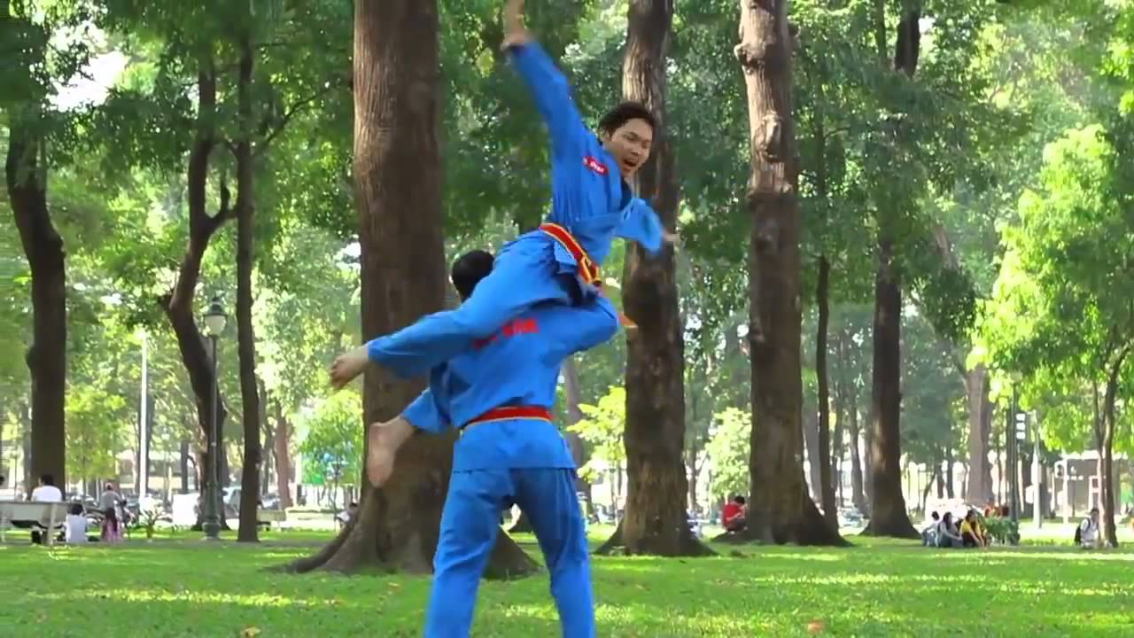 VOVINAM - VIỆT VÕ ĐẠO tinh hoa VÕ VIỆT