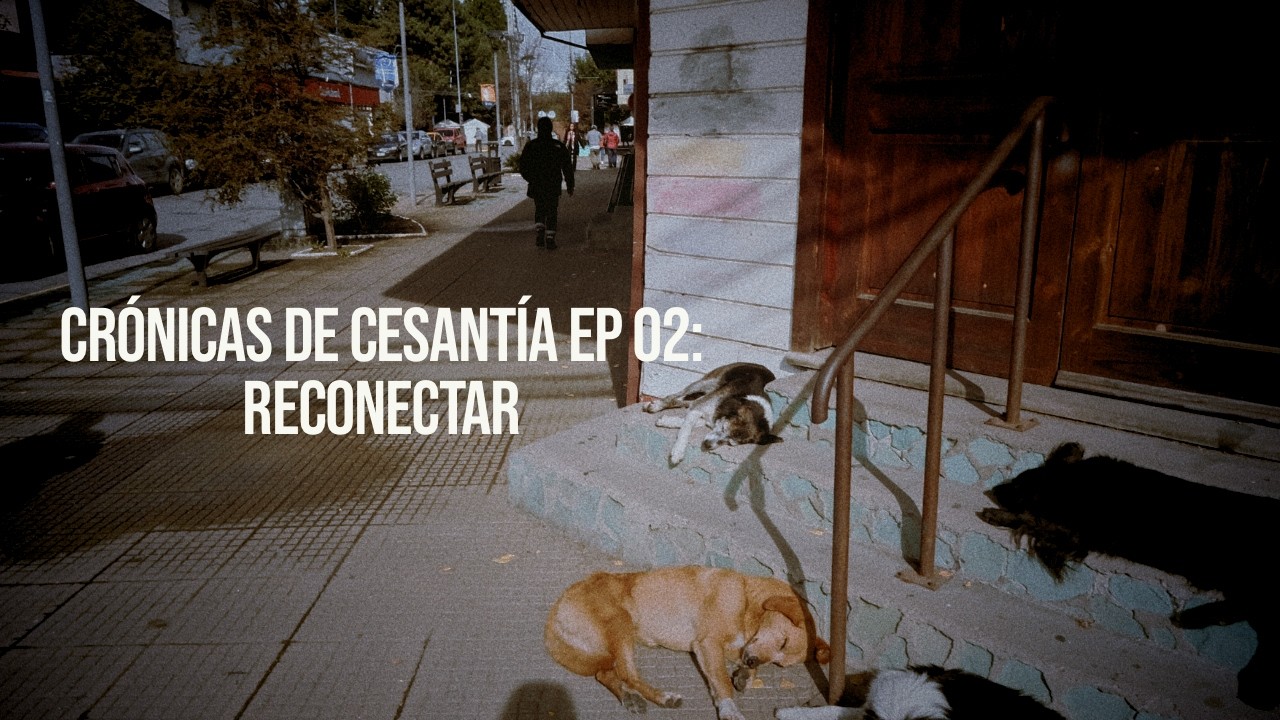Crónicas de Cesantía: Reconectar