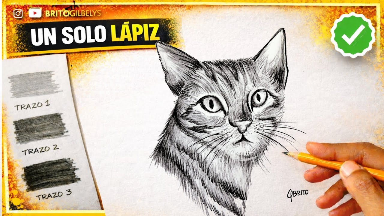 Cómo Dibujar un GATO REALISTA con Un Solo Lápiz - Dibujemos Juntos 