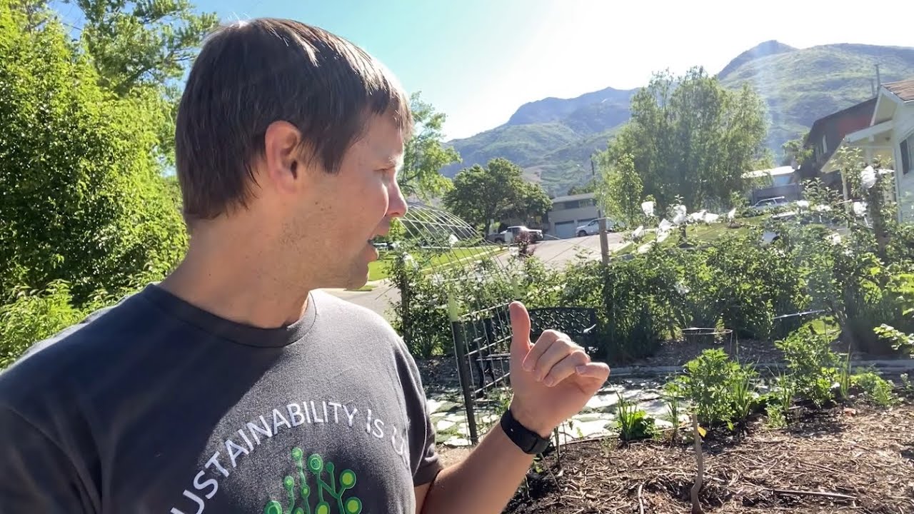 Foodscape Tour & Tips June 2