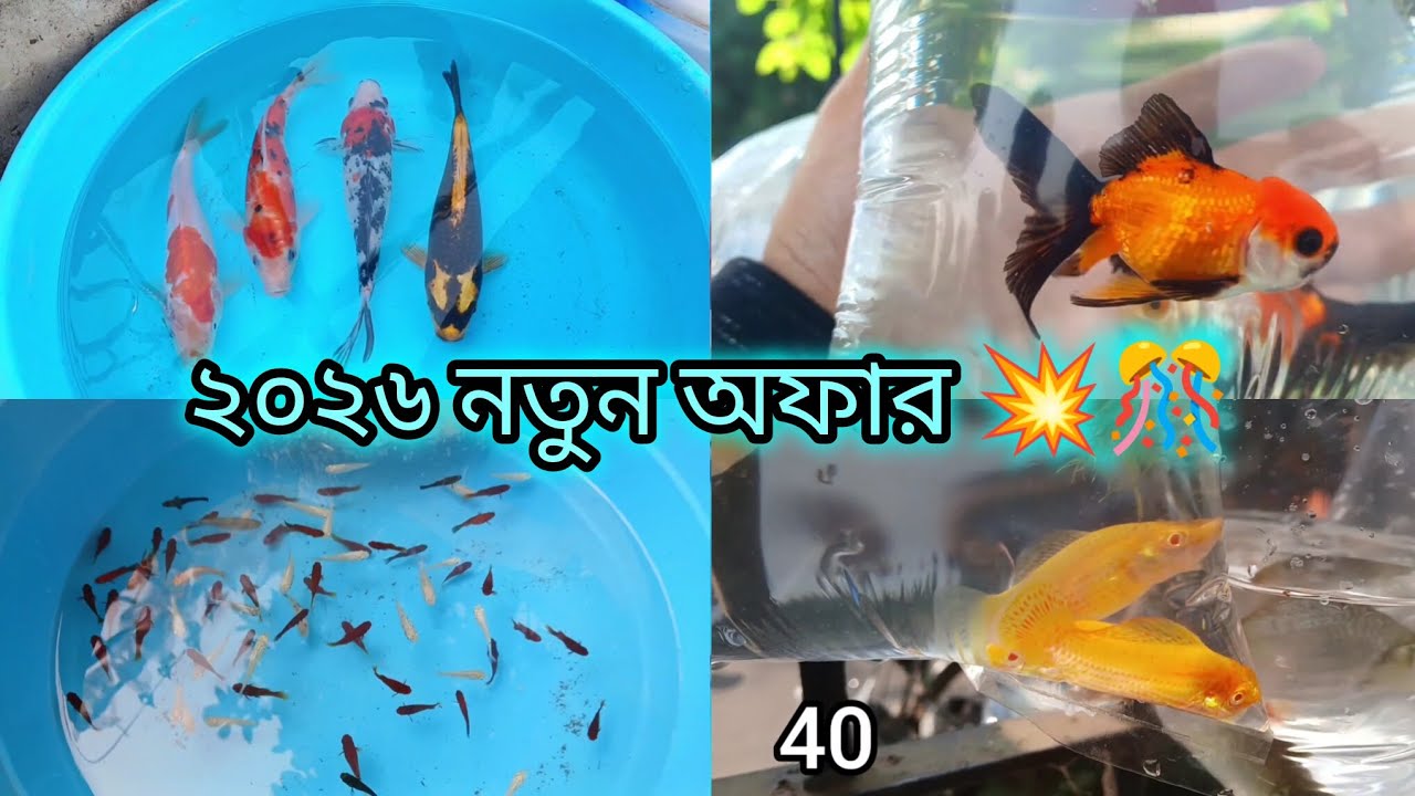 2026 এর  নতুন অফার 💥🎊