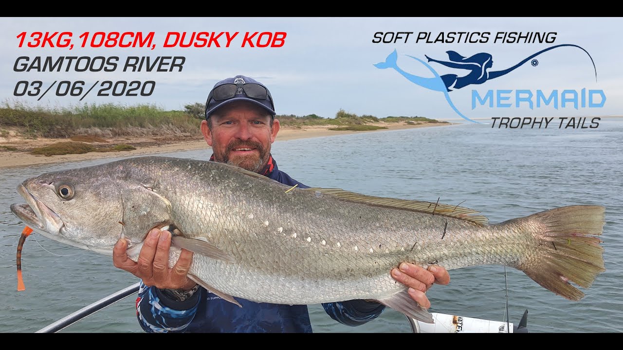 13kg Dusky Kob, Gamtoos River on Mermaids Tail