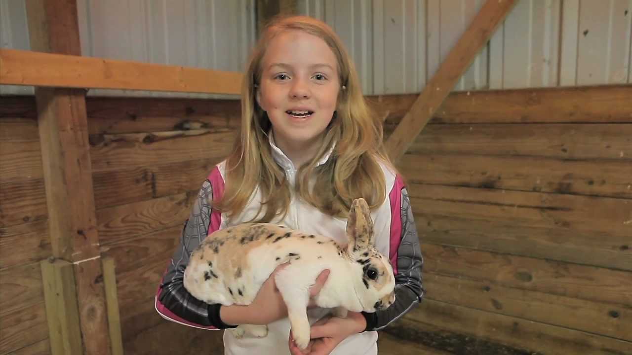 Bunnies and Owners Compete at Annual 4-H Workshop