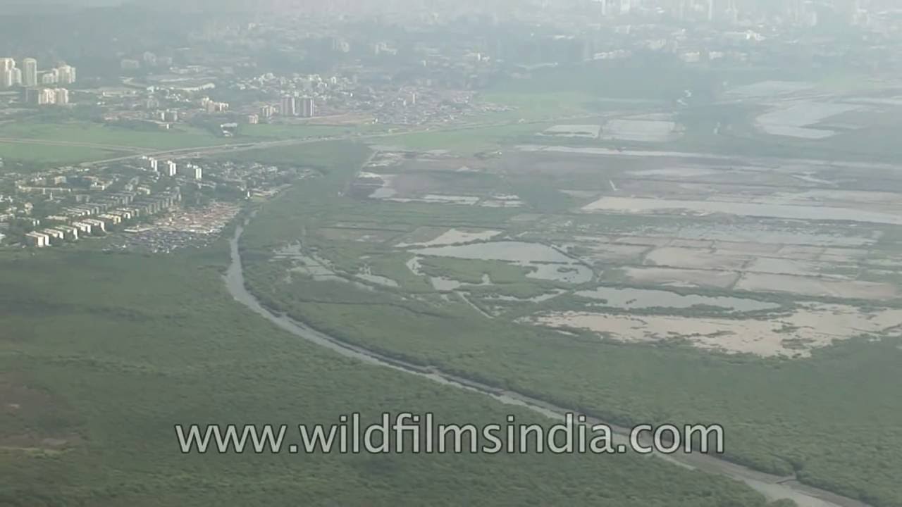 Mumbai aerials: creeks, mangroves and swamps