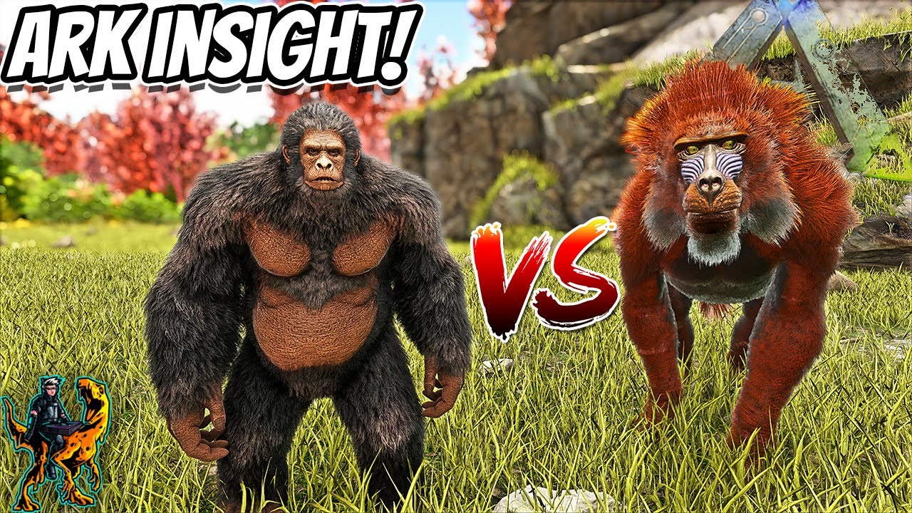 DINOPITHECUS VS THE GIGANTOPITHICUS, STAT ANALYSIS AND BATTLE TO THE DEATH!! || Ark Insight!