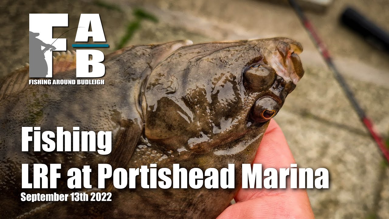LRF Fishing Portishead Marina - September 13th 2022