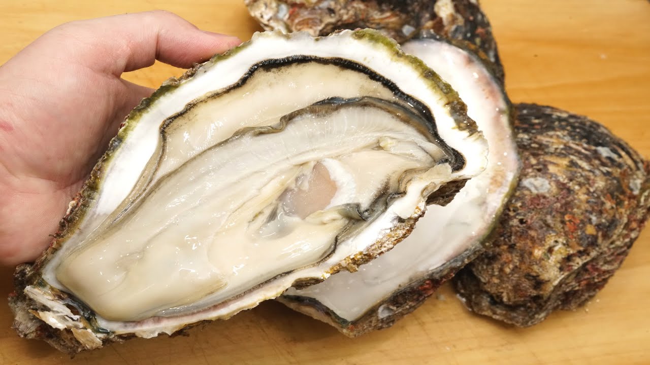 岩牡蠣（イワガキ）の剥き方と下処理方法
