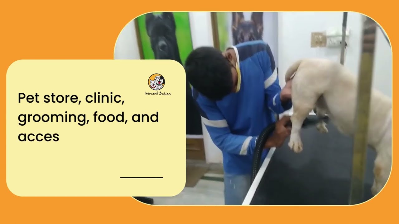 Pet Store, Clinic, Grooming, Food, and Accessories all Under one Roof in South Kolkata.