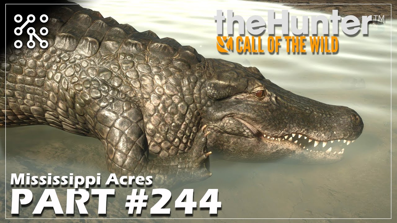 Nová Mapa MISSISSIPPI ACRES #244 | The Hunter: Call of the wild CZ  | Lets play | Česky