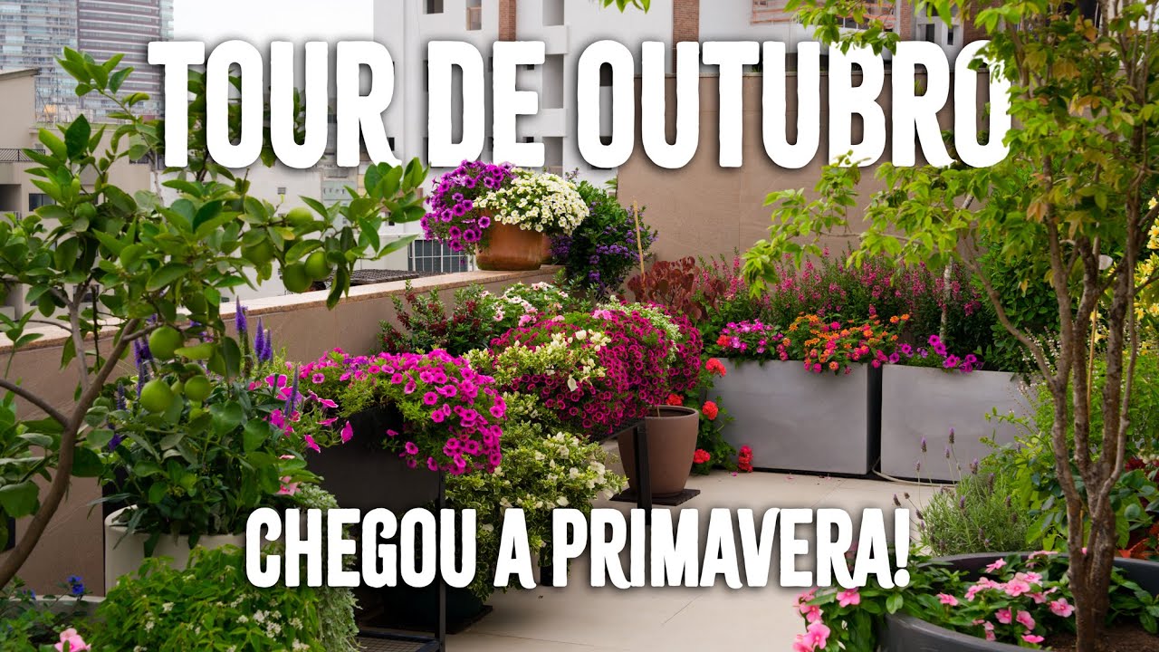 Volta Pelo Jardim na Primavera 🌿 | Veja o Terraço em Outubro!