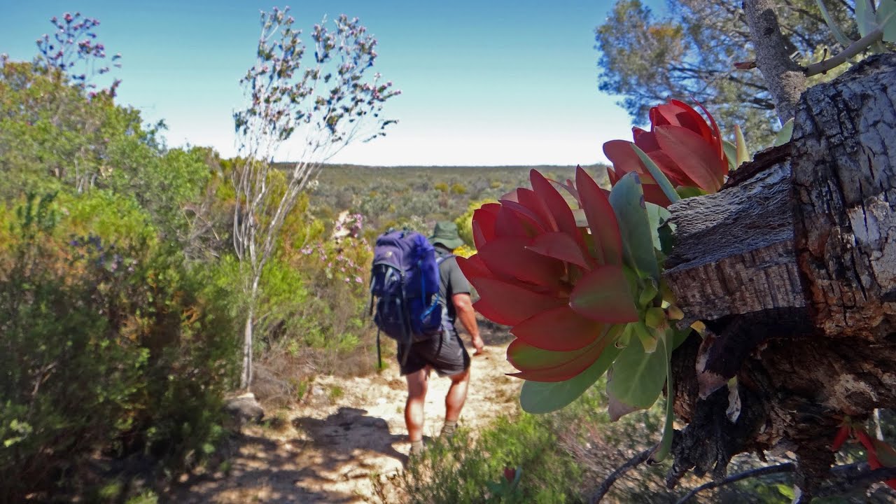 Oorlogskloof Hiking Trail Rock Pigeon Route