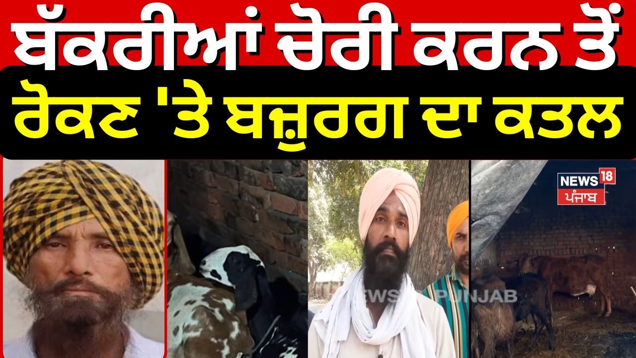 Faridkot Elderly Man Murder | ਬੱਕਰੀਆਂ ਚੋਰੀ ਕਰਨ ਤੋਂ ਰੋਕਣ 'ਤੇ ਬਜ਼ੁਰਗ ਦਾ ਕਤਲ | N18V