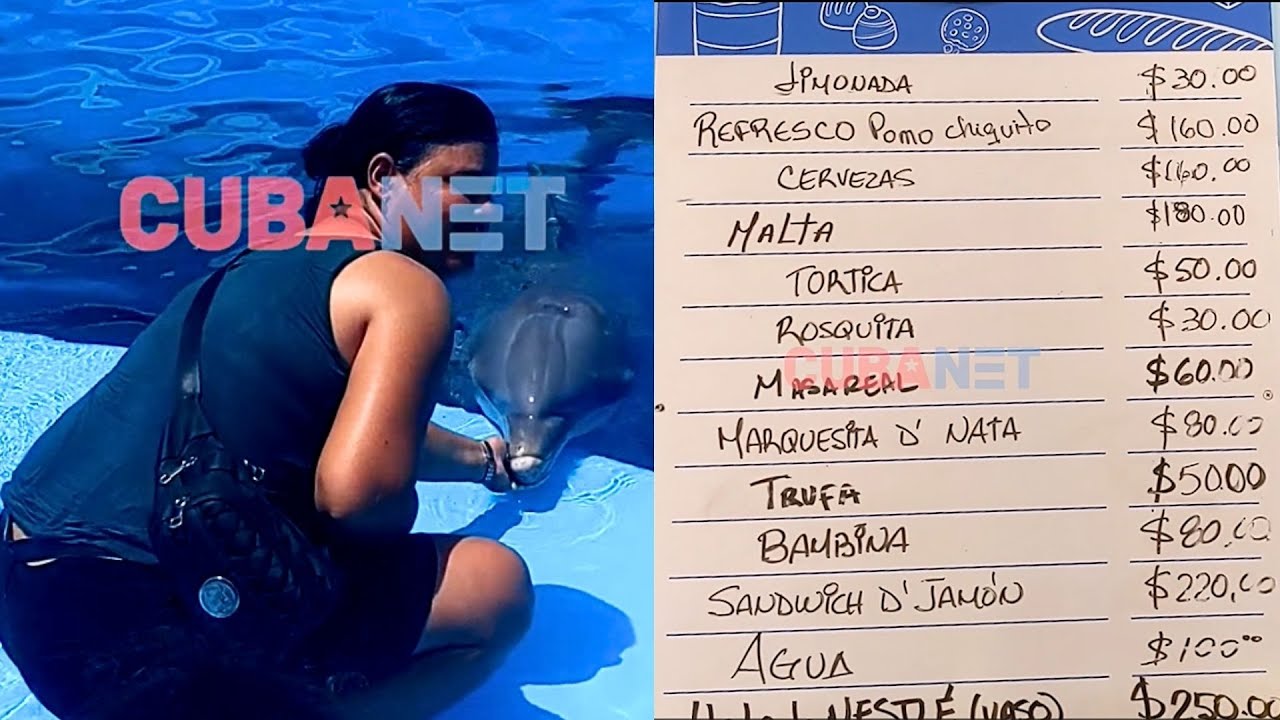 POCOS peces y precios ELEVADÍSIMOS: el ACUARIO Nacional de Cuba en 2023
