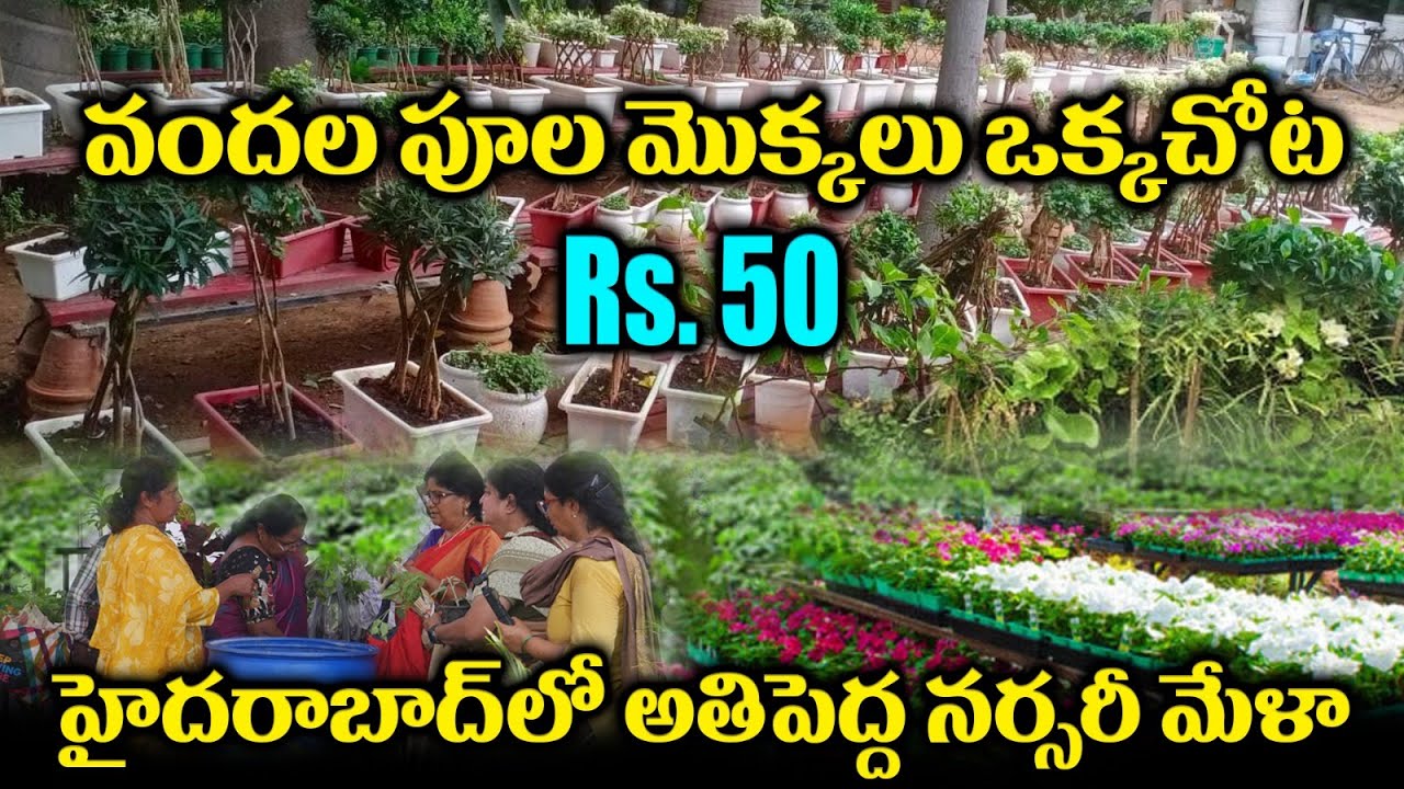 18th Grand nursery mela 2025 Hyderabad  నర్సరీ మేళా Horticulture Expo Organic Purifier Plants