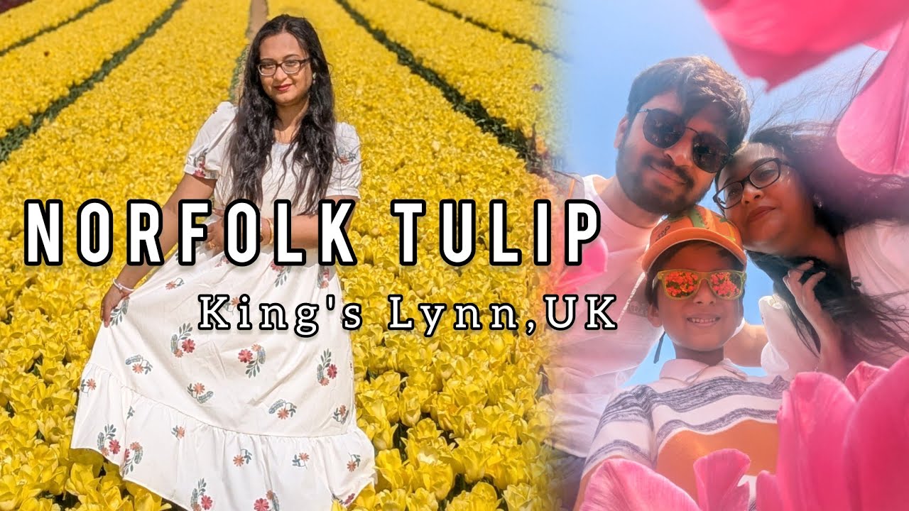 Norfolk TULIP GARDEN 🌷🌷🌷 UNITED KINGDOM 