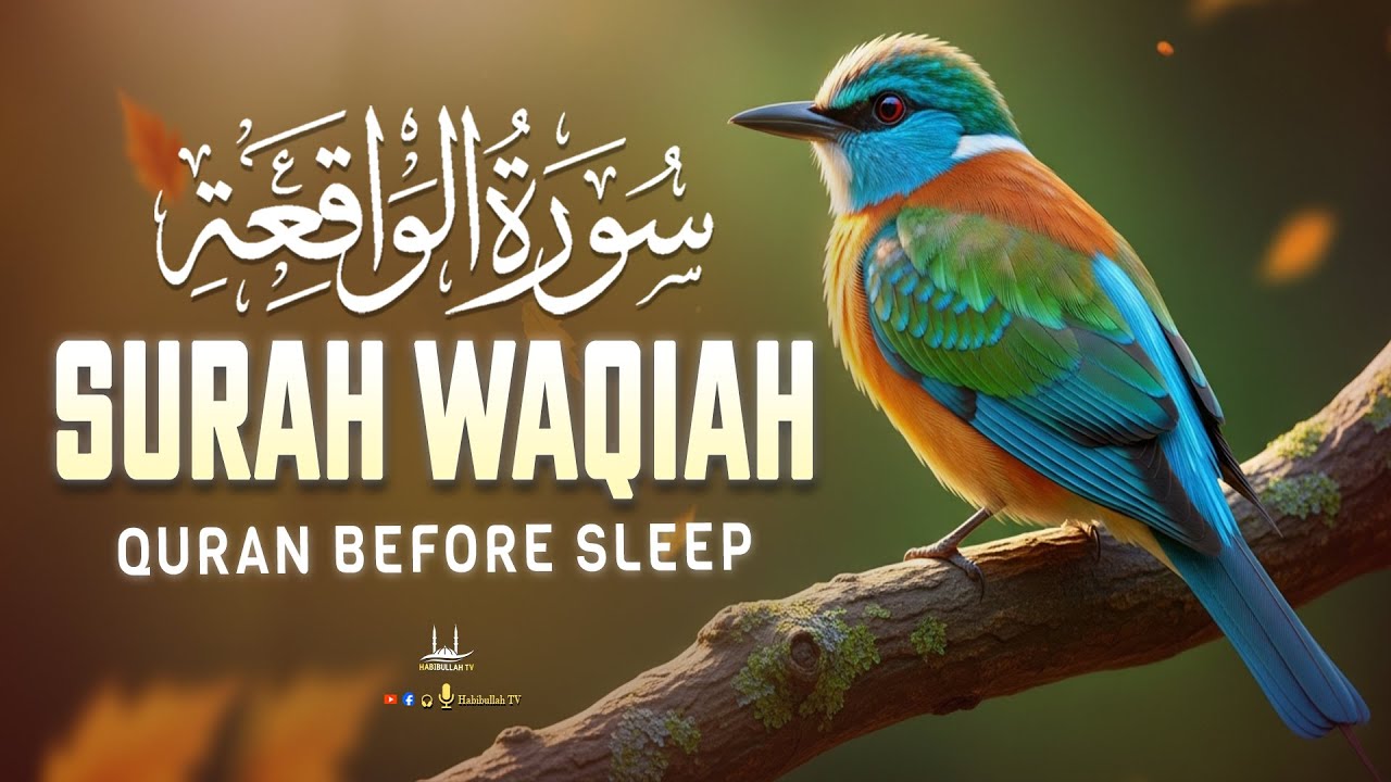 Surah Al Waqiah سورة الواقعة | A Soft Recitation That Touches the Soul For Sleep | Habibullah TV