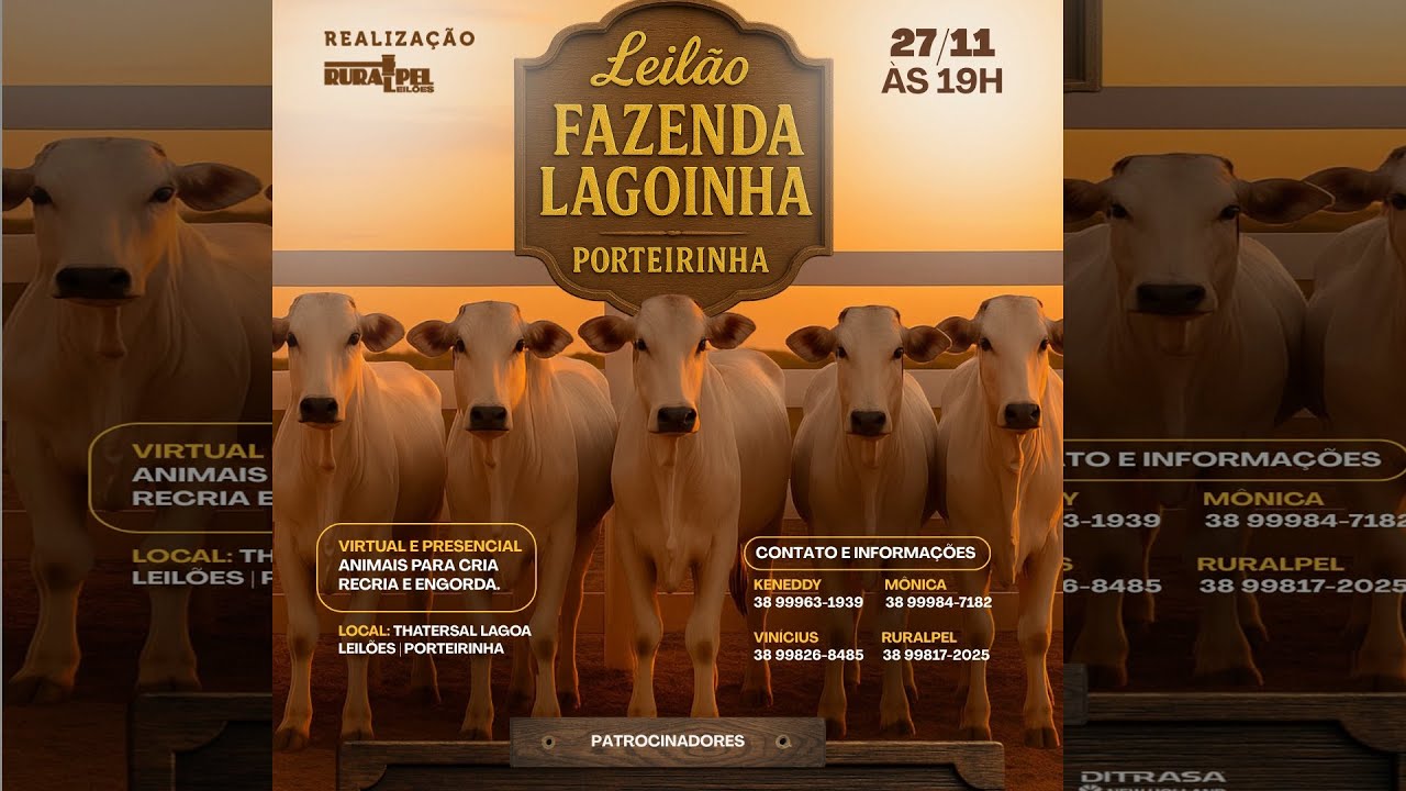 Leilão da Fazenda Lagoinha