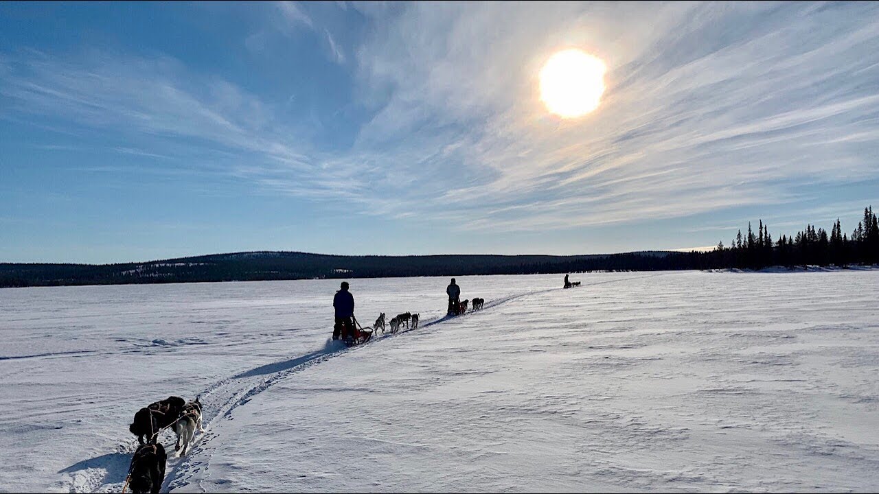 Mit Huskys durch Finnisch Lappland im März 2019