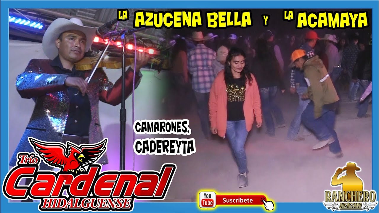 Trio Cardenal Hidalguense - La Azucena Bella y La Acamaya