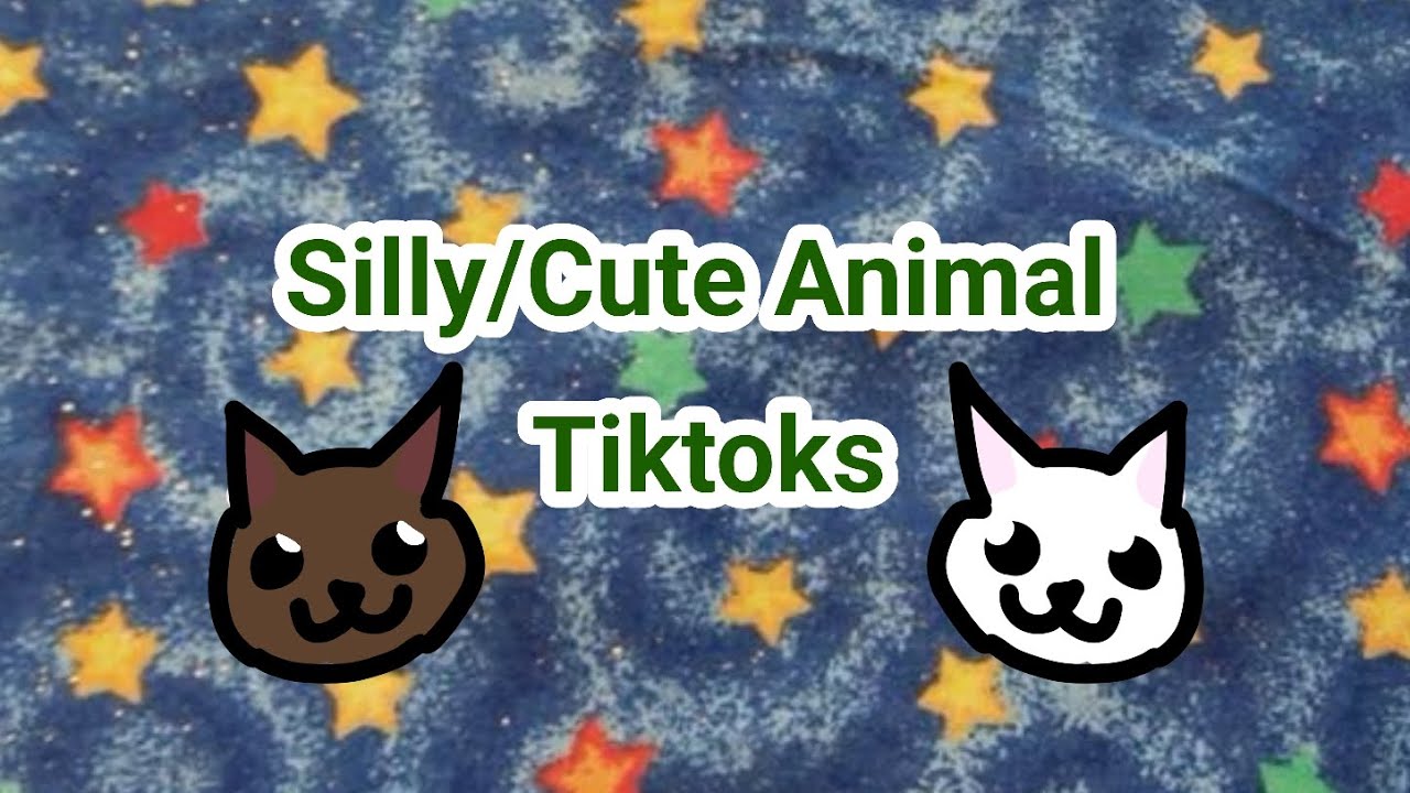 Silly/Cute Animal Tiktoks 🐈‍⬛🐹🩷