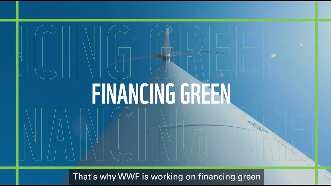 Financing Green - FULL version