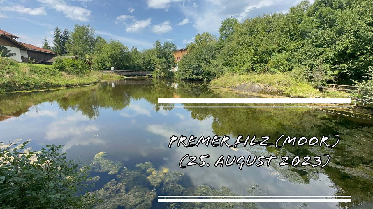 Pfaffenwinkel - Premer Filz (25. August 2023)