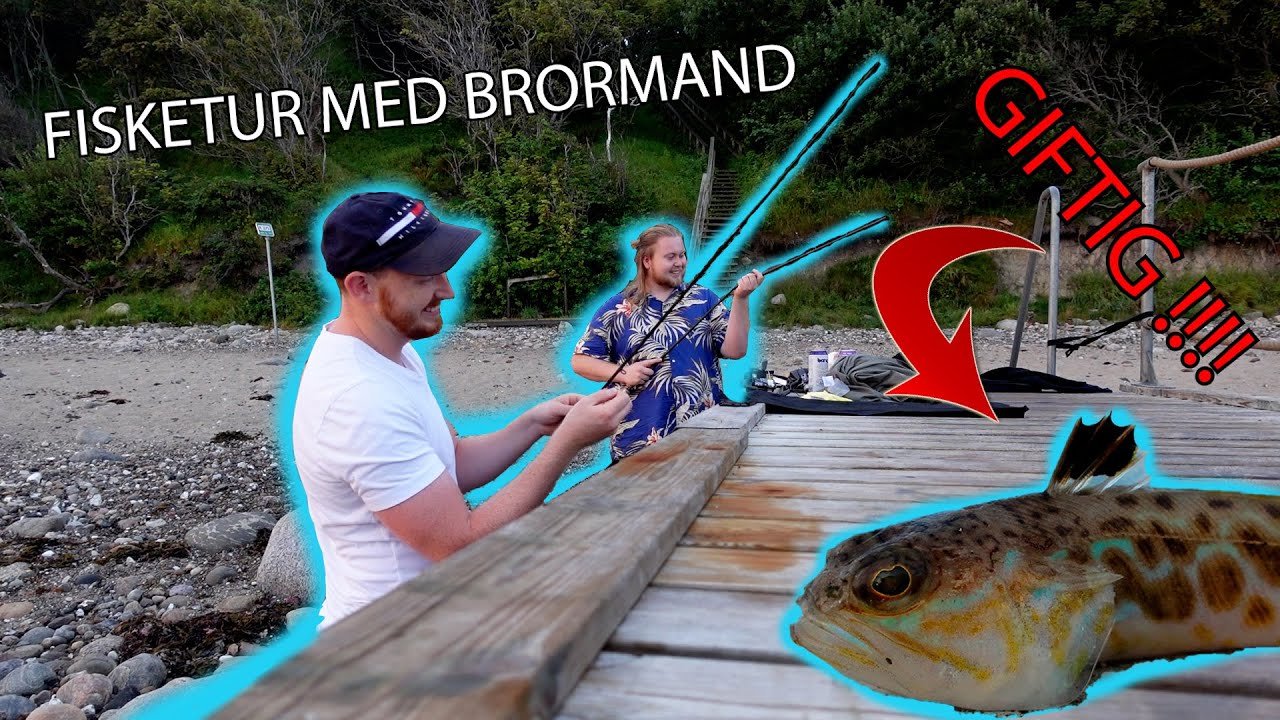 Fjæsing ved Nordsjælland - Vlog 2 med Lillebror