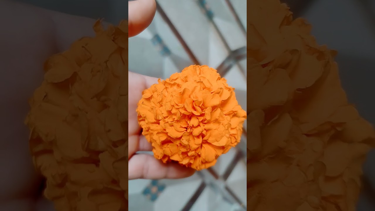 indu Marabi 🤭🤭