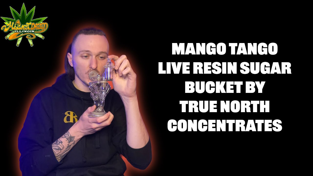 Mango Tango Live Resin Sugar Bucket by True North Concentrates | 7G Baller Jar