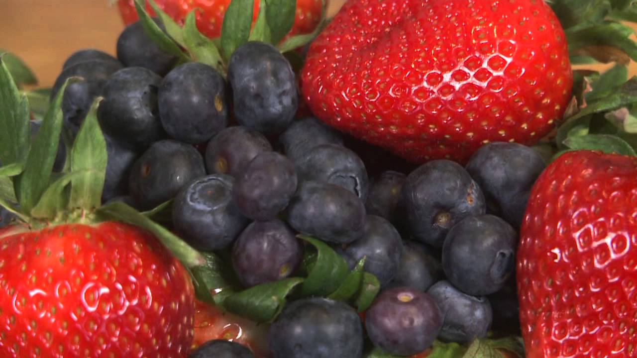Eating to Remember: Memory-Boosting Brain Food