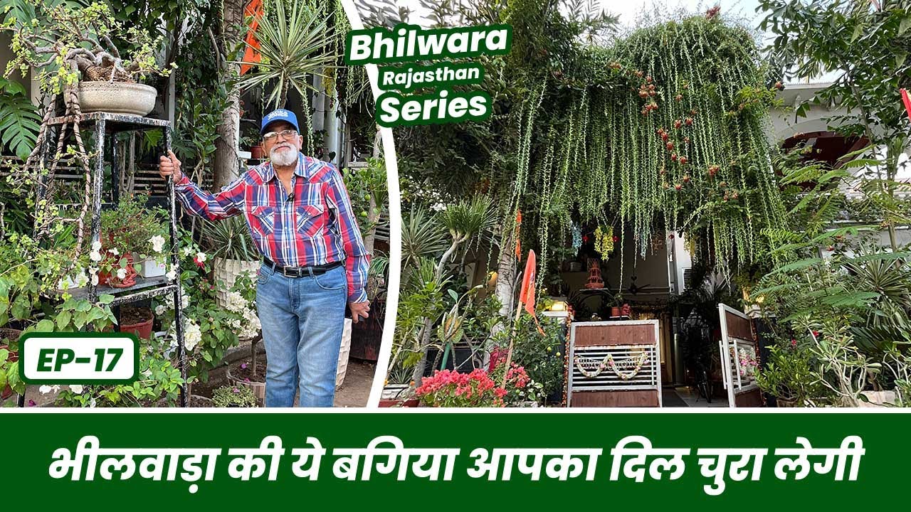 मात्र 3 साल में तैयार की स्वर्ग सी सुंदर बगिया 🥰👌🏻 लोग लेने आते है सेल्फ़ी 🤳 Bhilwara Series EP-17