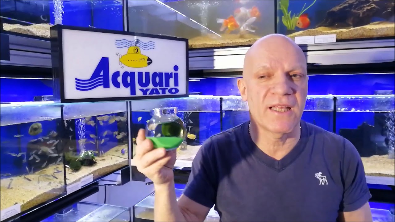come cambiare l'acqua nell'acquario