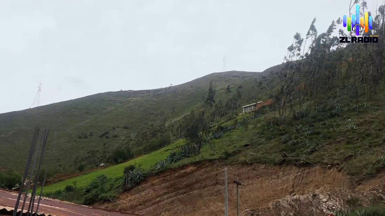 Palca