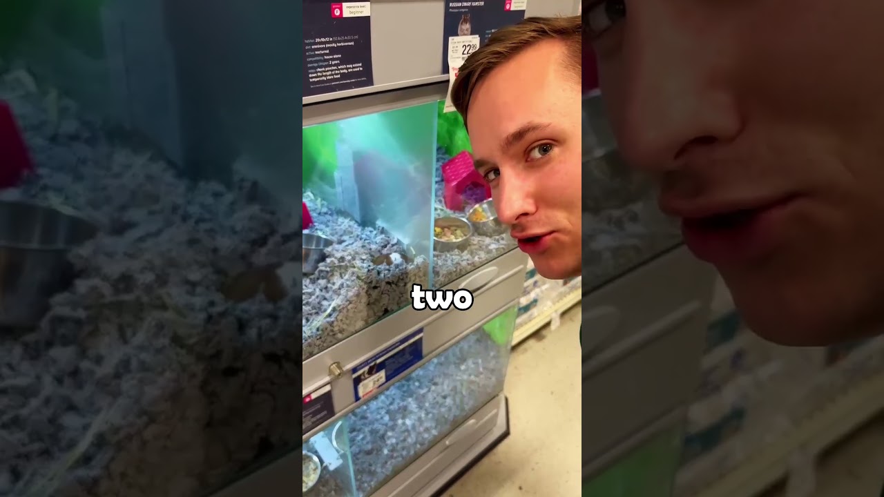 ЛУЧШИЙ питомец в PETSMART