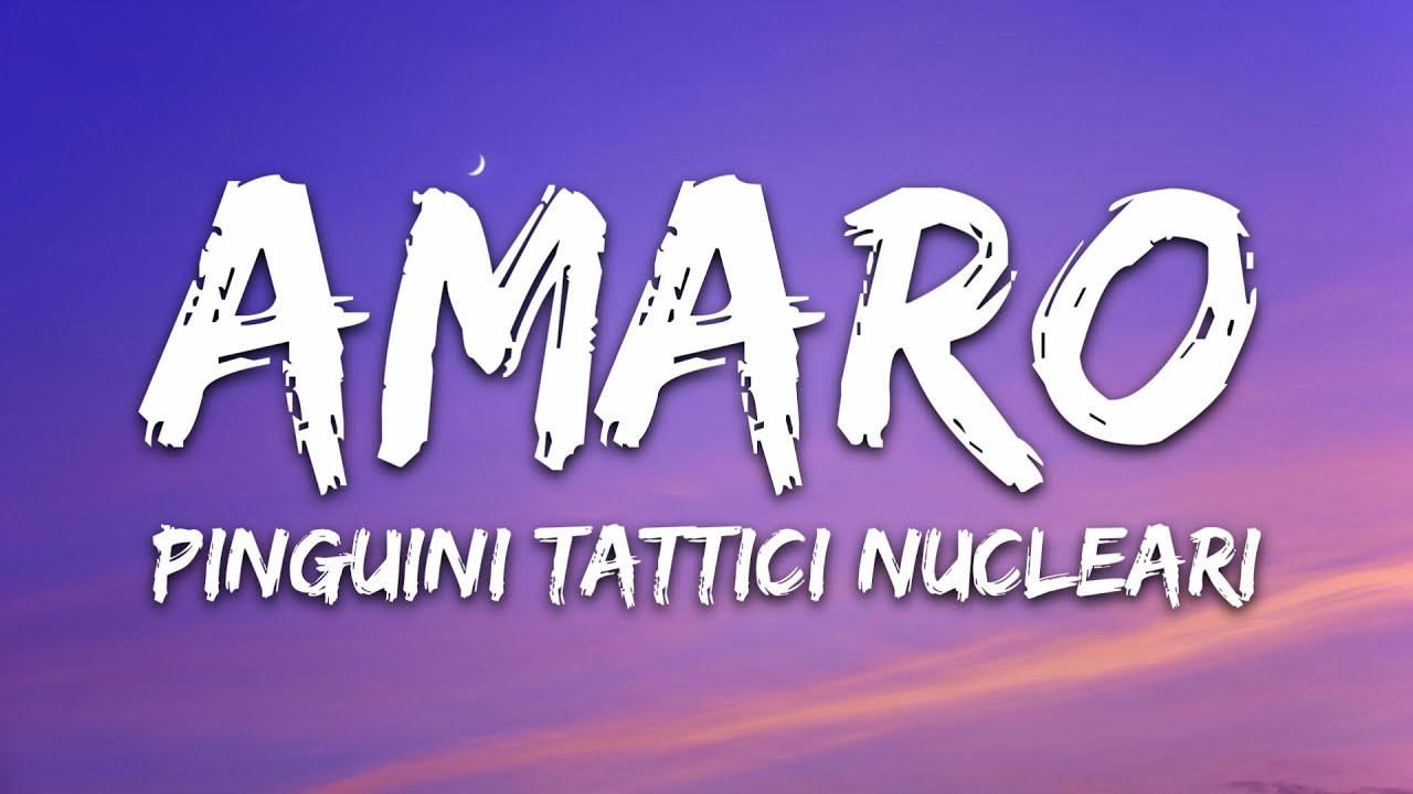 Pinguini Tattici Nucleari - Amaro (Testo/Lyrics)