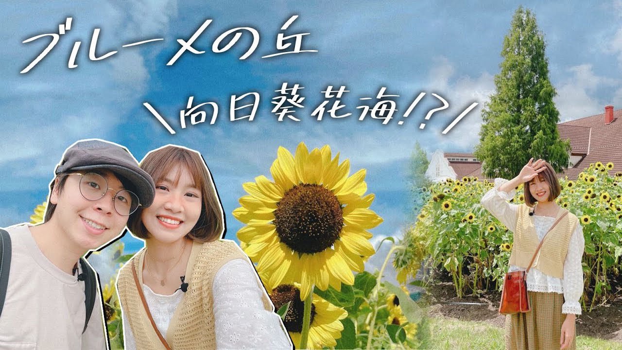 【滋賀縣】🌻跟我們一起欣賞向日葵花海吧！🌻｜親子旅遊必去的【ブルーメの丘】