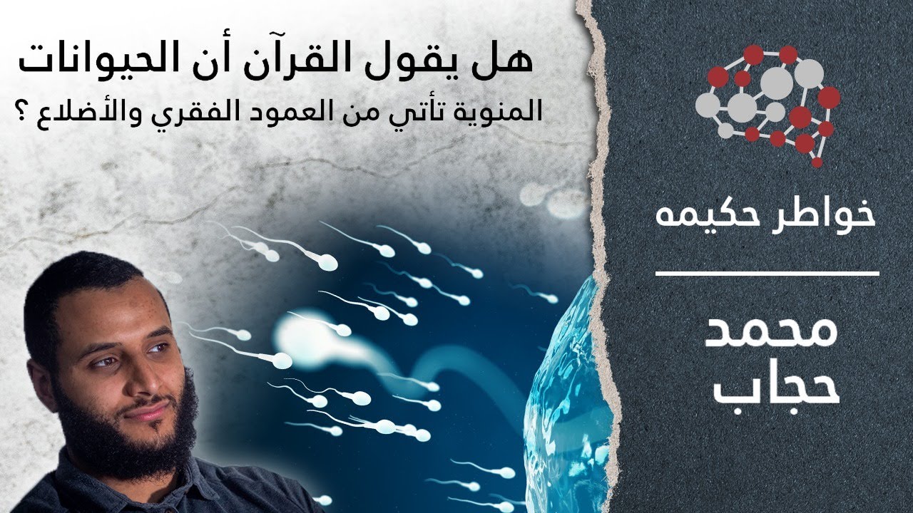 خواطر حكيمه: هل يقول القرآن أن الحيوانات المنوية تأتي من العمود الفقري والأضلاع ؟
