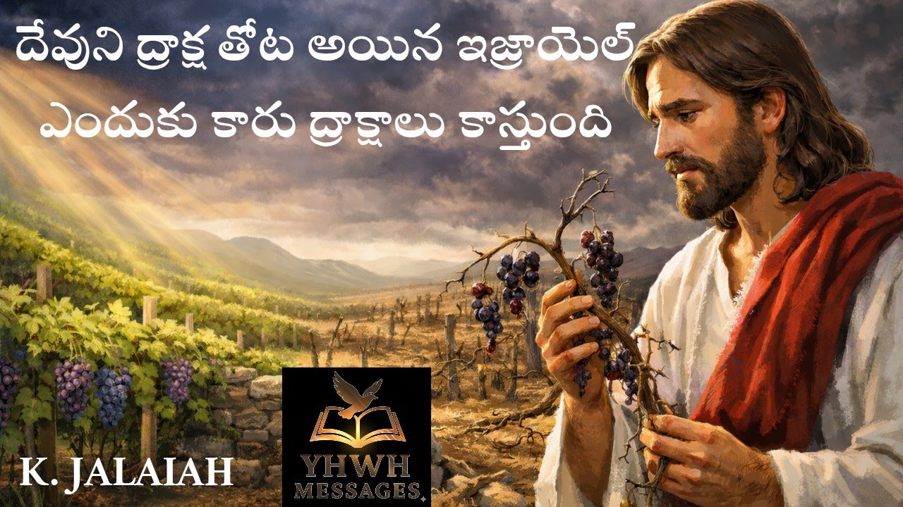 దేవుని తోట అయిన ఇజ్రాయెల్ ఎందుకు కారు ద్రాక్షాలు కాసింది #yhwh_messages #ఇజ్రాయెల్ #ద్రాక్ష #దేవుడు 