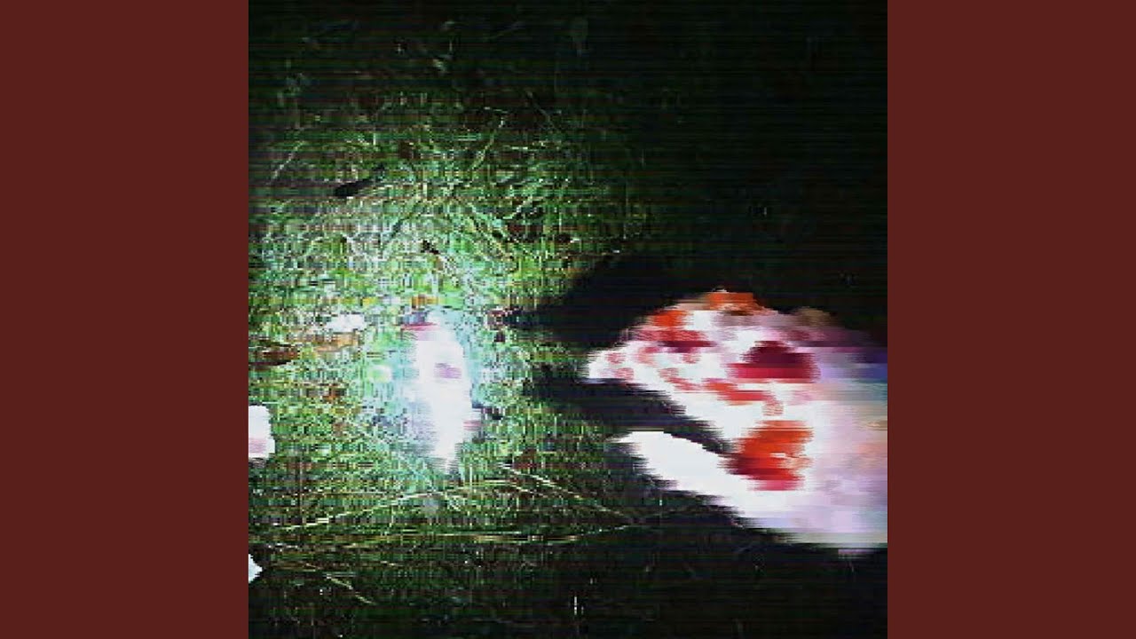 Botanická zahrada