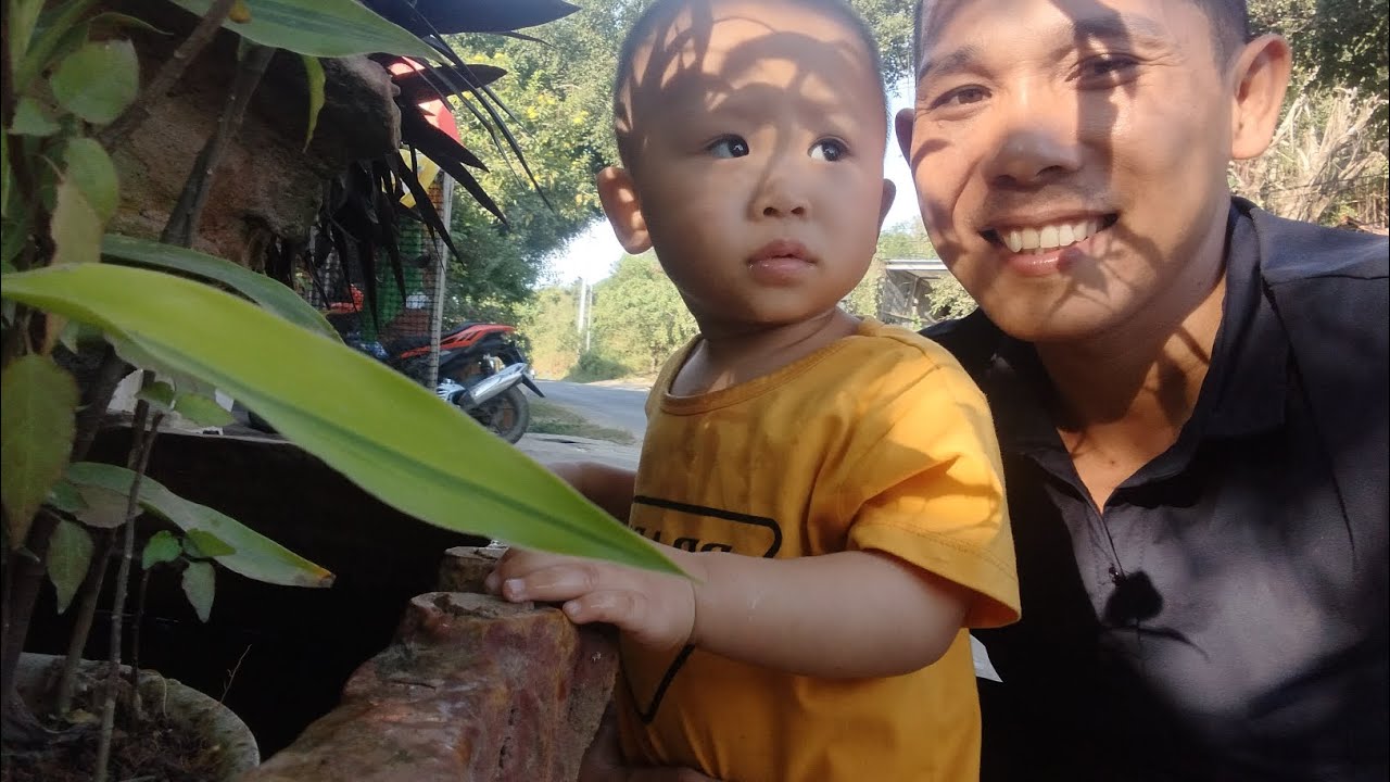 Phát Hiện Một Hồ Cá Nhiều Màu Trước Nhà