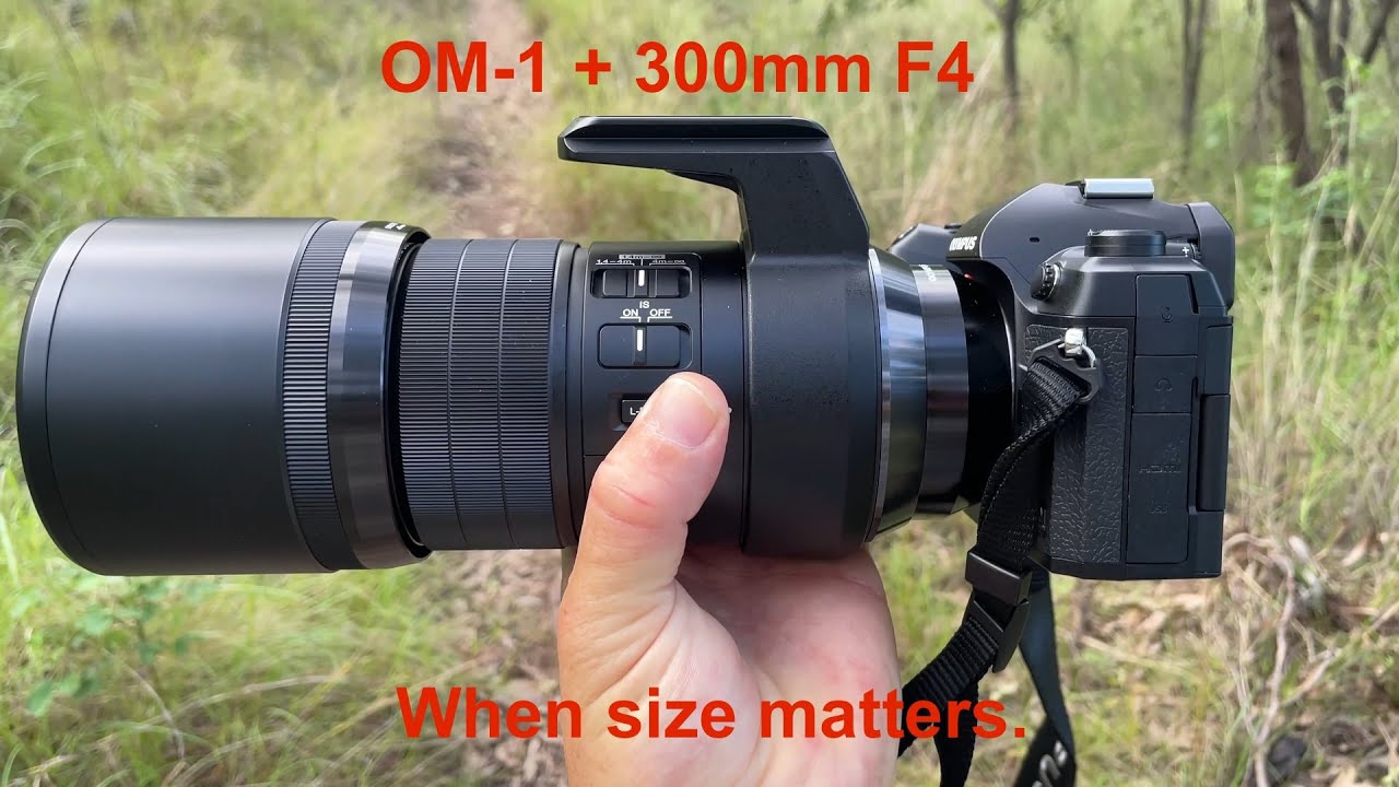 OM-1 + M.Zuiko 300mm f4 wildlife photography. 